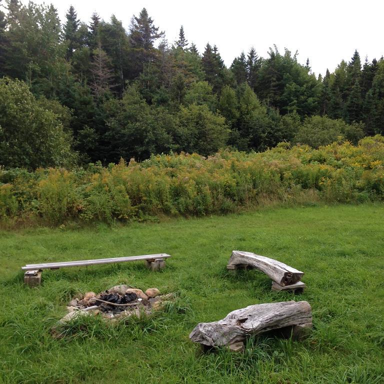 Indian Brook Breton Cove Farmhouse 게스트하우스 외부 사진