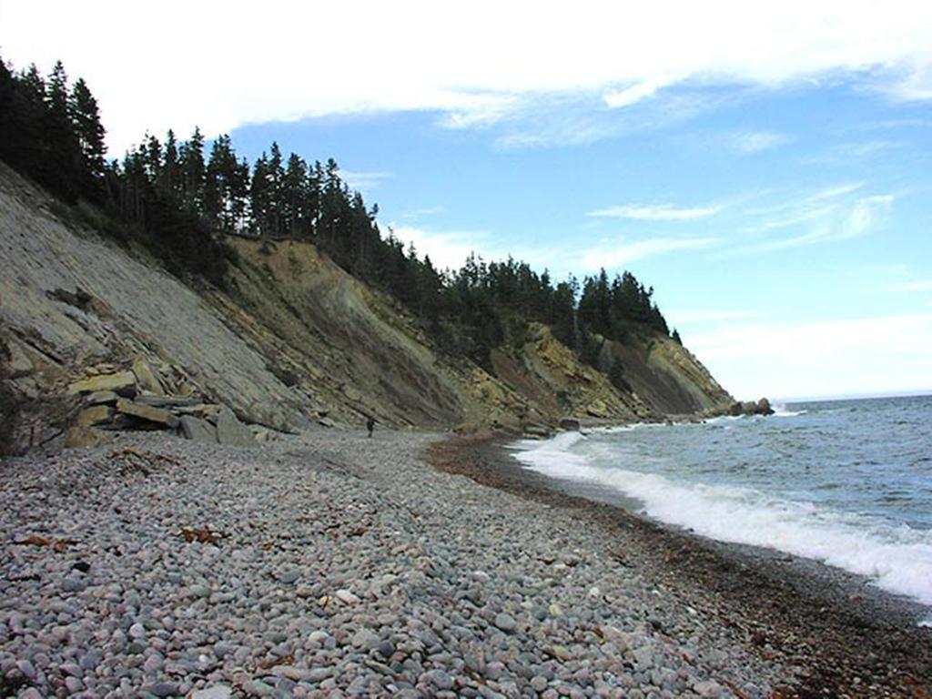 Indian Brook Breton Cove Farmhouse 게스트하우스 외부 사진