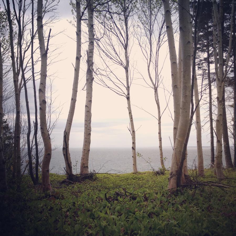 Indian Brook Breton Cove Farmhouse 게스트하우스 외부 사진