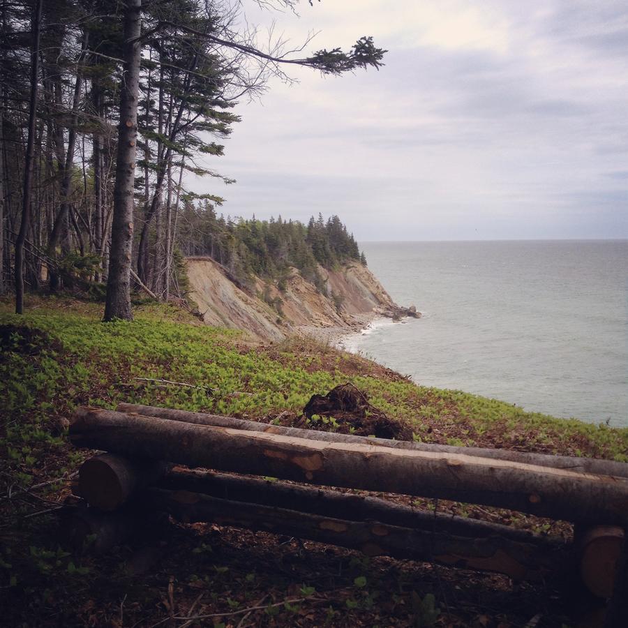 Indian Brook Breton Cove Farmhouse 게스트하우스 외부 사진