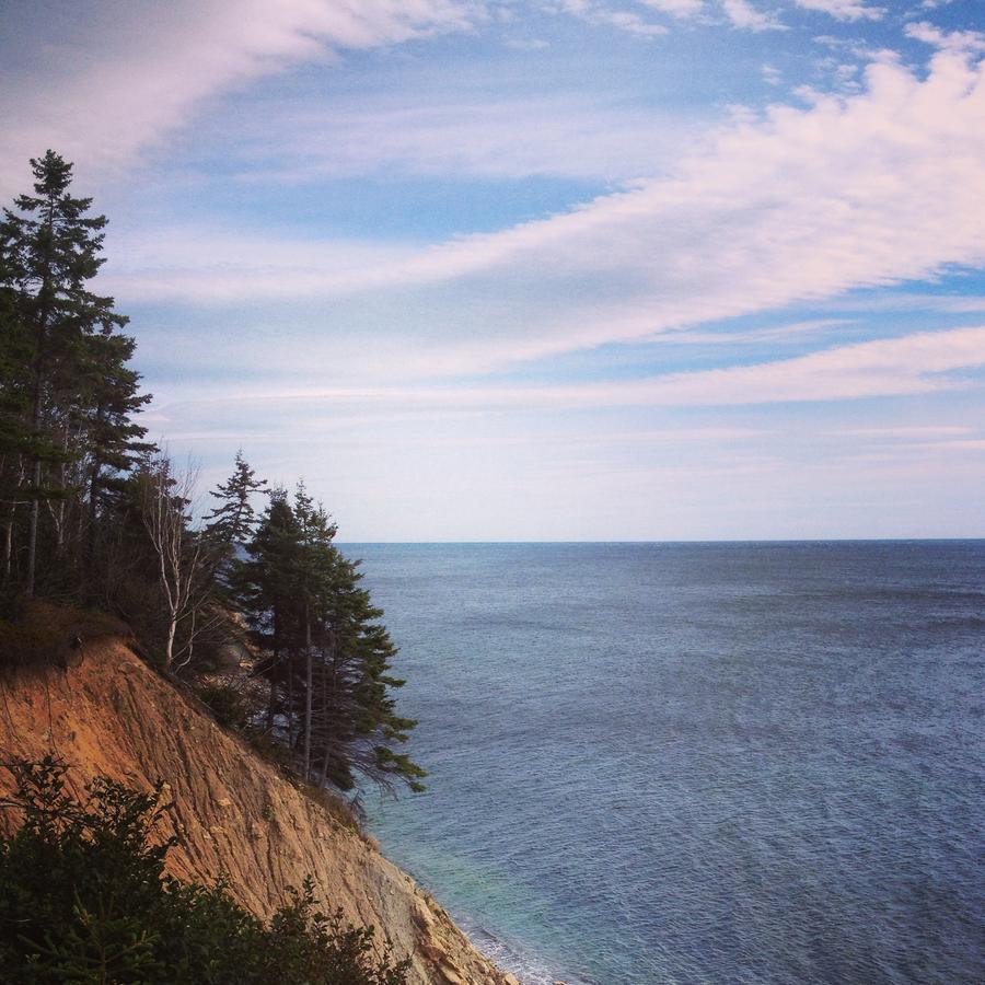 Indian Brook Breton Cove Farmhouse 게스트하우스 외부 사진